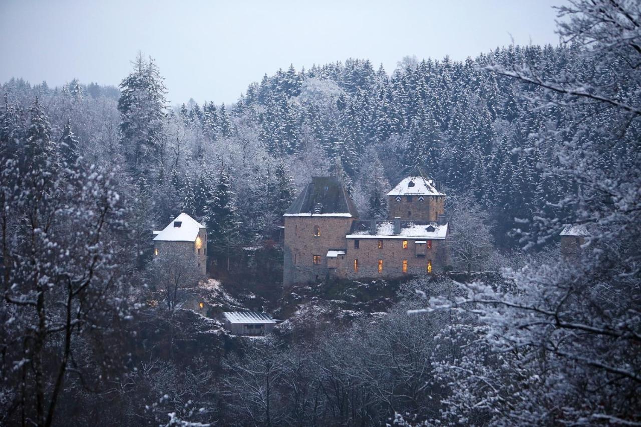 Le Bonheur De La Cascade 24 Pers - Malmedy, Wellness, Jardin, Confort Dış mekan fotoğraf