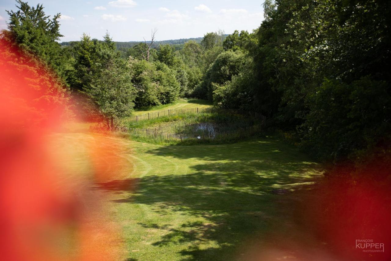 Le Bonheur De La Cascade 24 Pers - Malmedy, Wellness, Jardin, Confort Dış mekan fotoğraf
